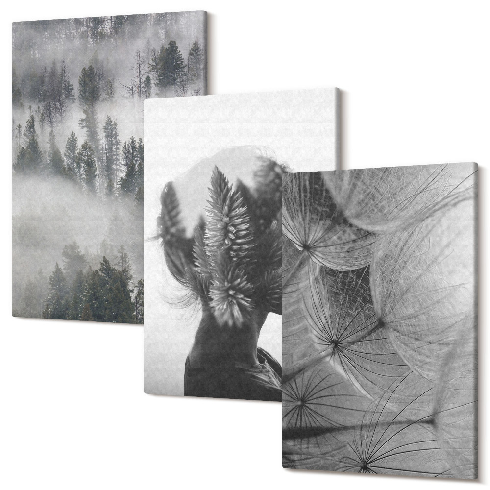 Set tablouri canvas triptic Pădure în ceață portret cu copaci păpădie delicată