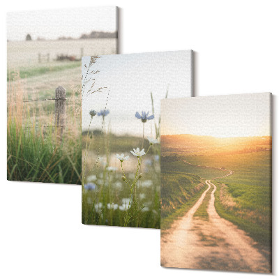 Tablou 3 piese Peisaje naturale cu câmpuri și o potecă la soare