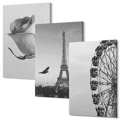 Tablou 3 piese Turnul Eiffel trandafir și roata Ferris în monocrom