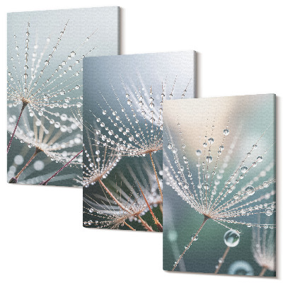 Tablou canvas set triptic Picături de apă pe lăstarii delicati de păpădie