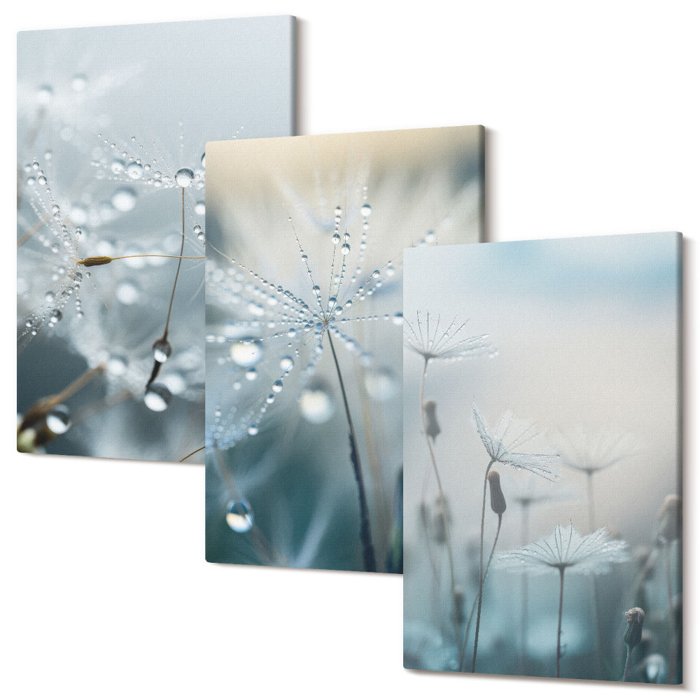 Tablou 3 piese Picături de rouă pe păpădii delicate