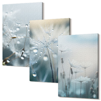 Tablou 3 piese Picături de rouă pe păpădii delicate
