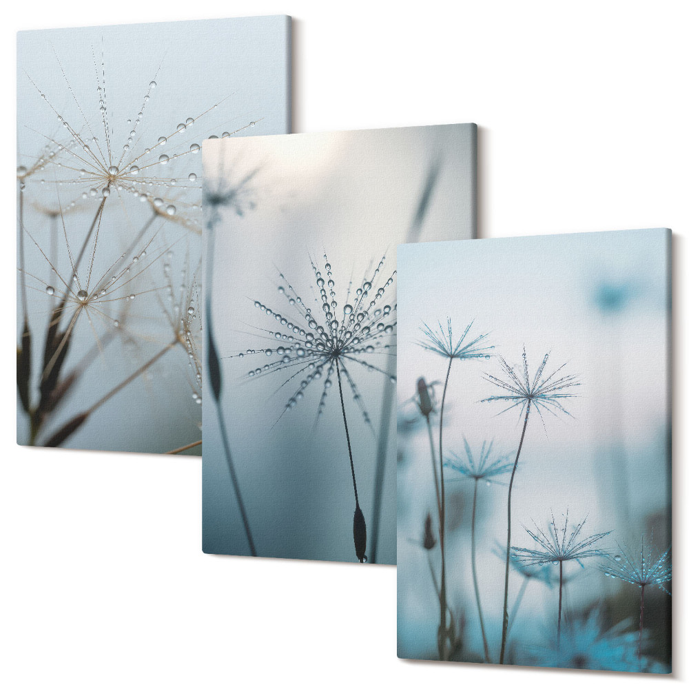 Set tablouri canvas triptic Păpădie delicată cu picături de apă