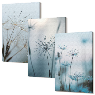 Set tablouri canvas triptic Păpădie delicată cu picături de apă