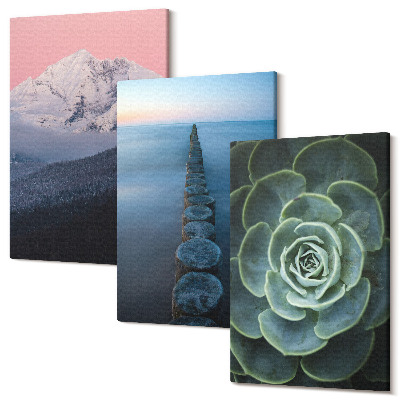 Tablou 3 piese Munți cu cer roz, apă și suculente verzi