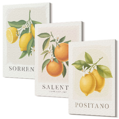 Tablou 3 piese Lămâi și portocale de pe Coasta Amalfi a Italiei