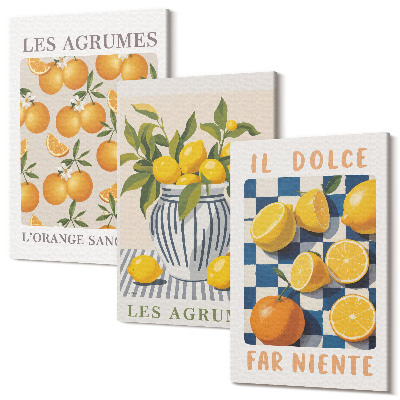 Tablou canvas set triptic Citrice retro cu accente galbene