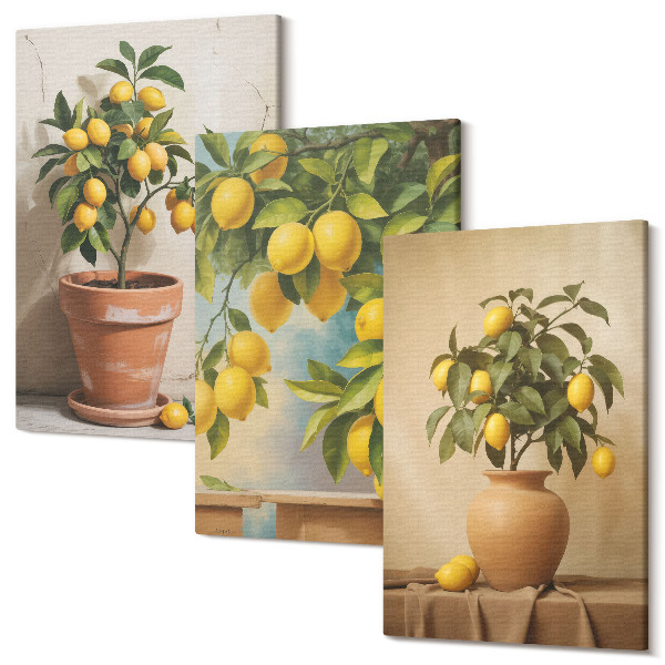 Set tablouri canvas triptic Lămâi în ghivece și vaze
