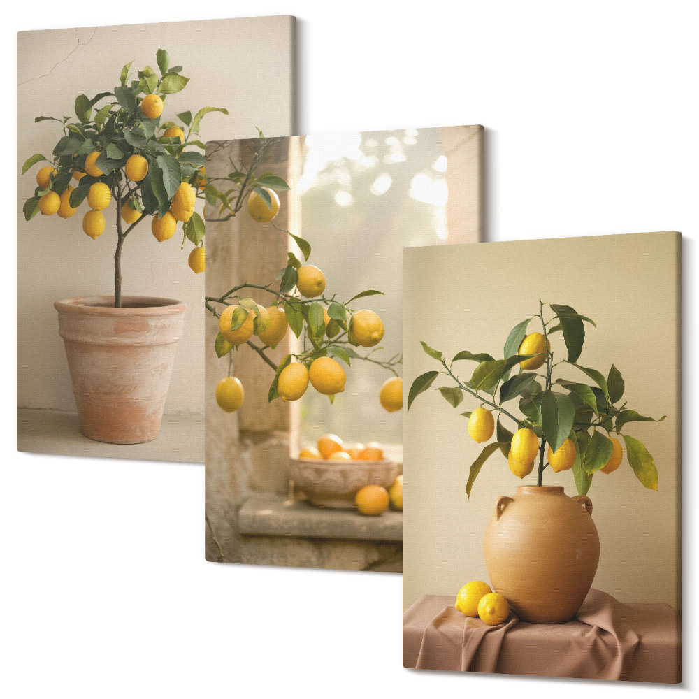 Tablou 3 piese Lămâi în ghivece și pe fereastră
