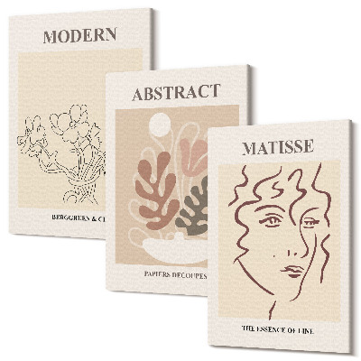 Tablou 3 piese Motive și linii de plante într-un stil modern