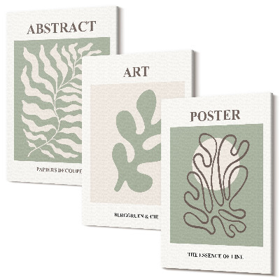 Tablou canvas set triptic Afișe cu modele florale de Henri Matisse