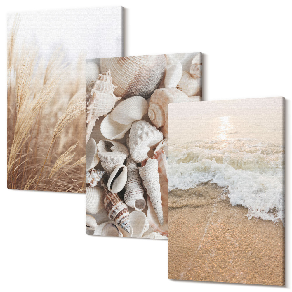 Tablou canvas set triptic Motive de plajă cu scoici și valuri ale mării