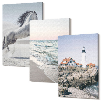 Tablou canvas set triptic Cai în mișcare plajă și valuri de apă far