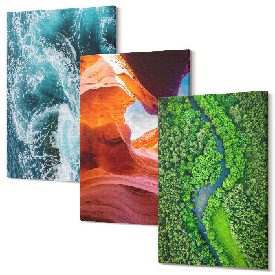 Tablou 3 piese Canionul de apă în mișcare și natura pădurii verzi