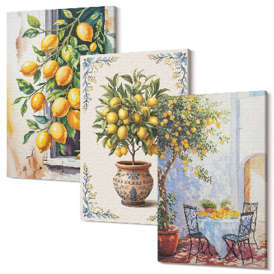 Tablou canvas set triptic Lămâi și fructe într-un cadru însorit