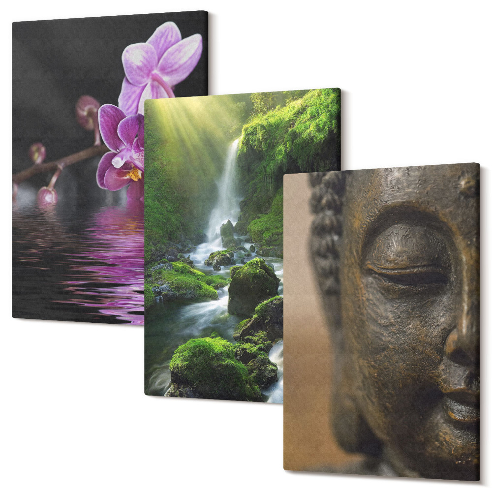 Tablou 3 piese Flori în cascadă de apă cu roci verzi Buddha