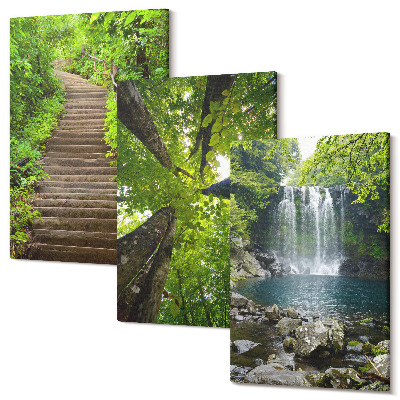 Set tablouri canvas triptic Poteca forestieră cu cascadă și vegetație verde