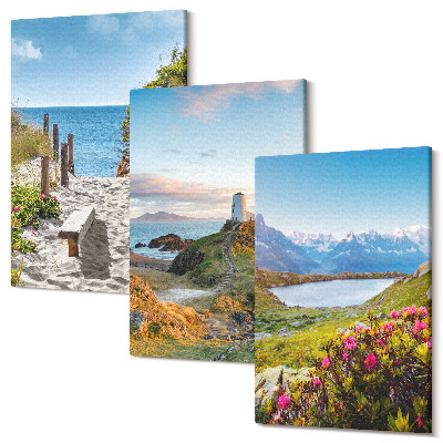 Tablou canvas set triptic Vedere la plaja far, munți și flori