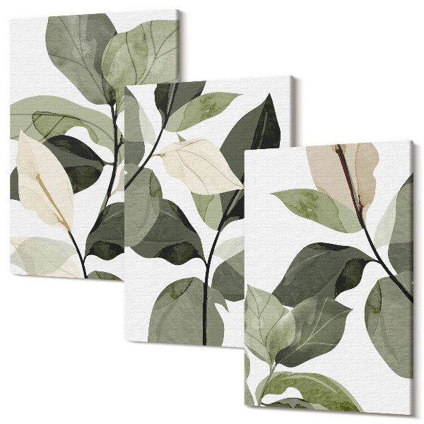 Tablou 3 piese Frunze delicate de plante boho pictate