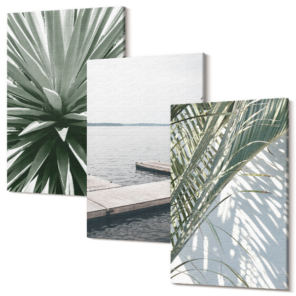 Tablou canvas set triptic Planta frunze de palmier și pod de lemn