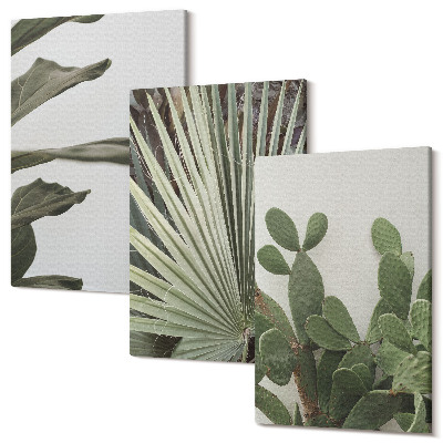 Tablou 3 piese Frunze de plante tropicale în culori pastelate
