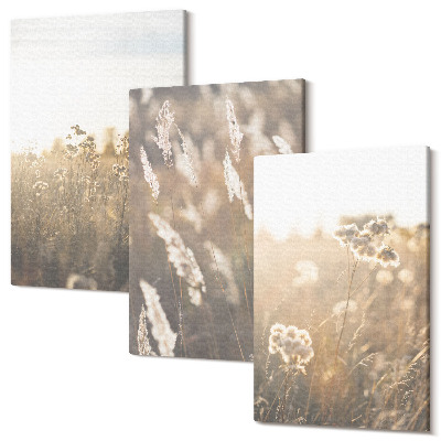 Set tablouri canvas triptic Un peisaj cu ierburi și flori în nuanțe calde
