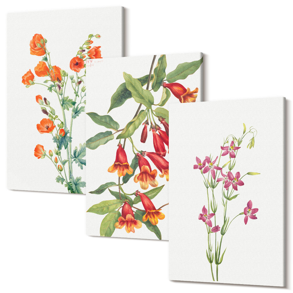 Set tablouri canvas triptic Pictură retro vintage cu flori