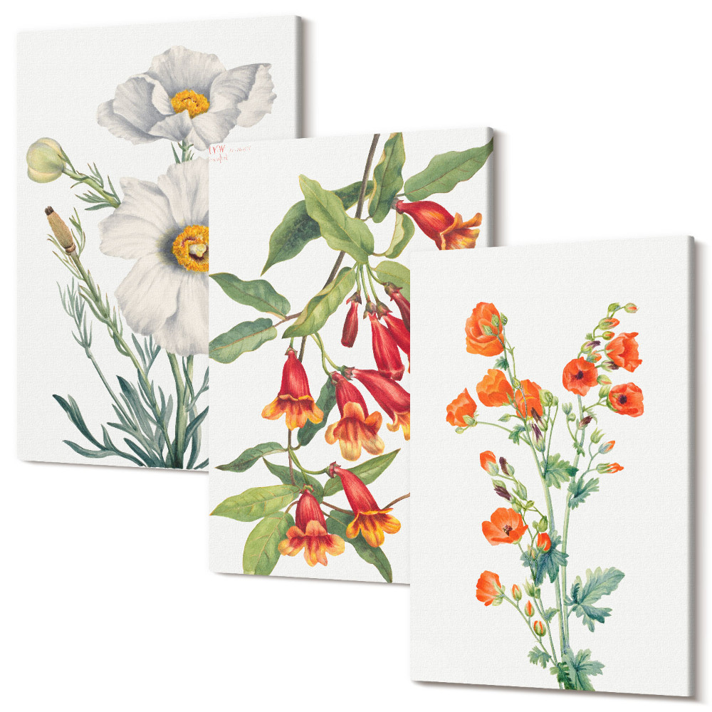 Tablou canvas set triptic Compoziții florale pictură retro vintage