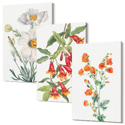 Tablou canvas set triptic Compoziții florale pictură retro vintage