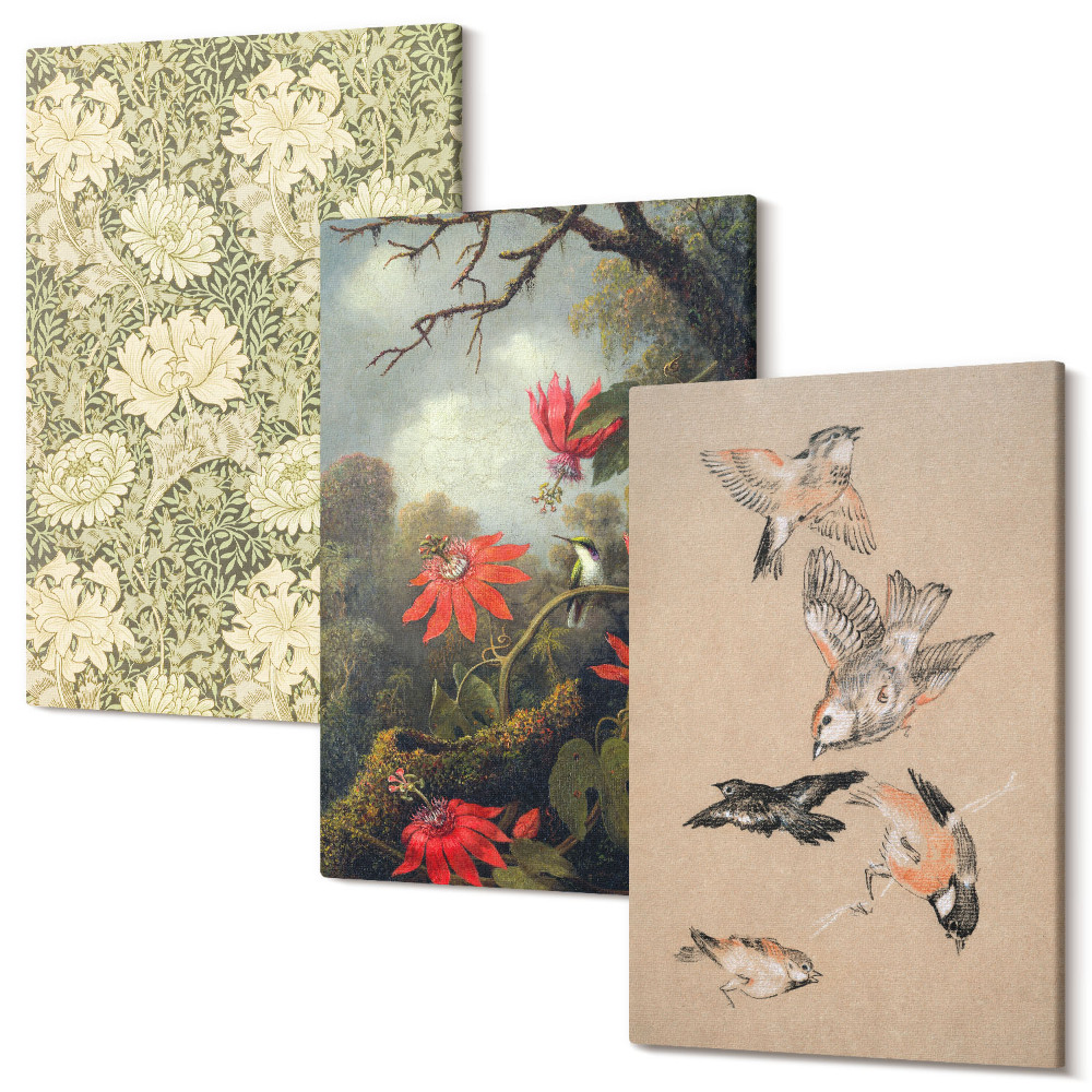 Set tablouri canvas triptic Flori și păsări în mediul natural