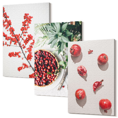 Tablou 3 piese Fructe și plante roșii într-un stil minimalist
