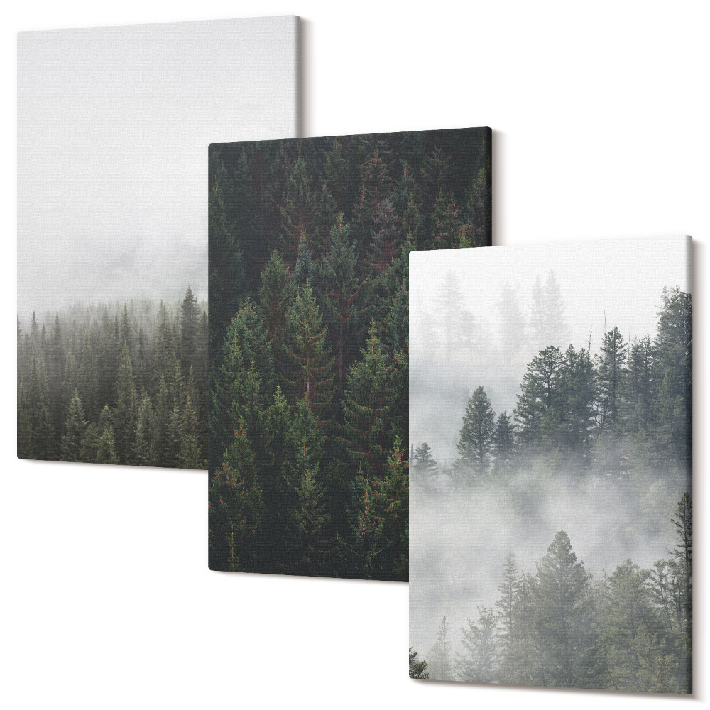Tablou canvas set triptic Păduri verzi într-un cadru natural cețos