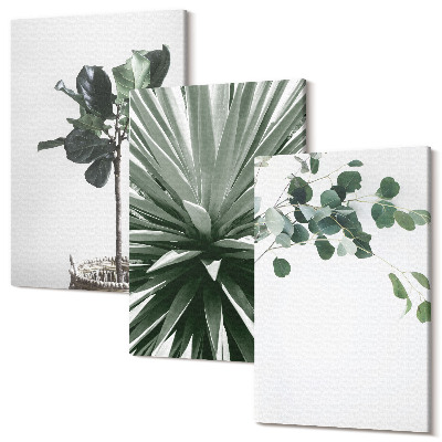 Set tablouri canvas triptic Plante verzi într-un stil minimalist