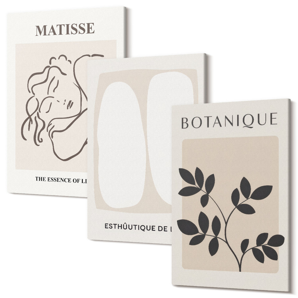 Tablou 3 piese Picturi minimaliste elegante cu motive vegetale de Matisse