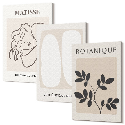 Tablou 3 piese Picturi minimaliste elegante cu motive vegetale de Matisse