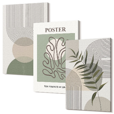 Tablou 3 piese Poster cu modele botanice abstracte geometrice