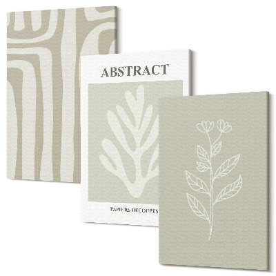 Tablou 3 piese Modele abstracte de plante în culori discrete