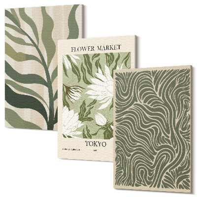 Set tablouri canvas triptic Modele de plante, decoratiuni botanice, stil boho