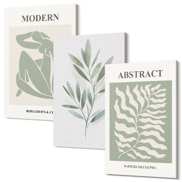 Tablou 3 piese Matisse design acuarela plante boho