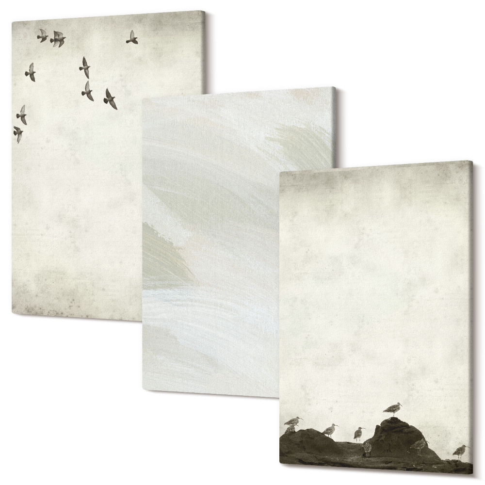 Tablou 3 piese Decorații minimaliste cu păsări, pietre și pensule