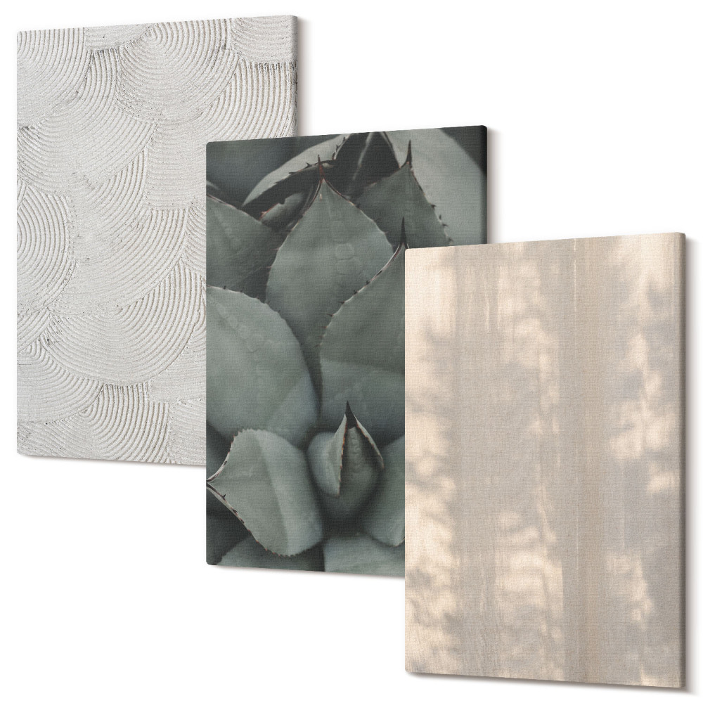 Tablou canvas set triptic Texturi de vară în prim-plan într-un climat tropical