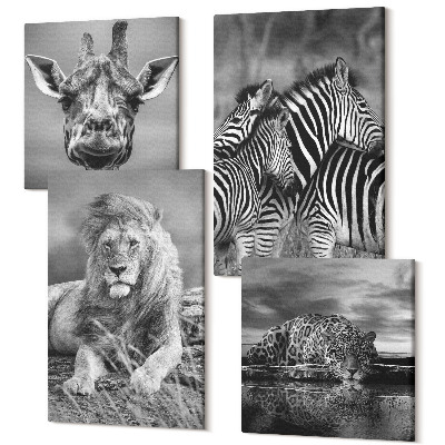 Tablouri canvas set 4 piese Animale sălbatice leu jaguar girafă și zebre