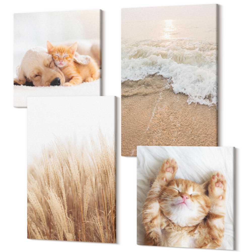 Tablouri multicanvas 4 piese Animale dragute pisici caine plaja iarba boho