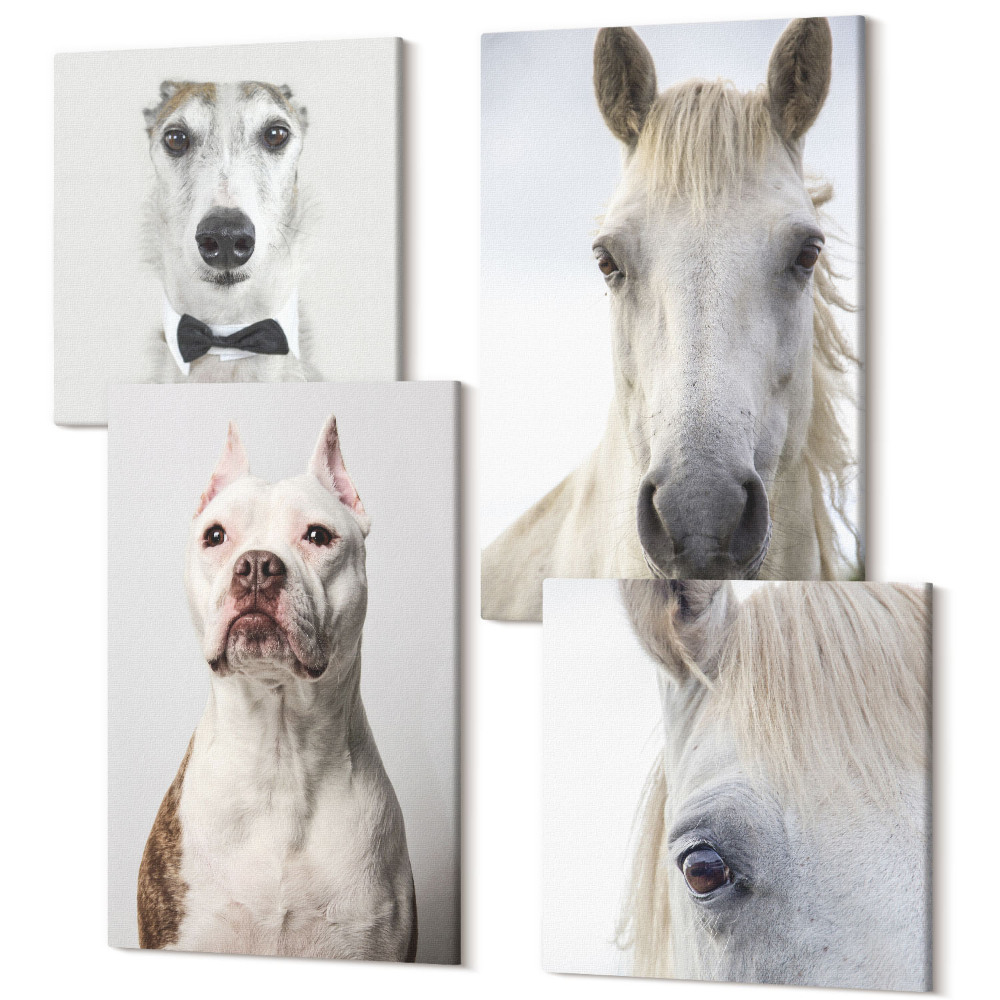 Tablouri canvas set 4 piese Interesante portrete de câini și cai într-un stil elegant