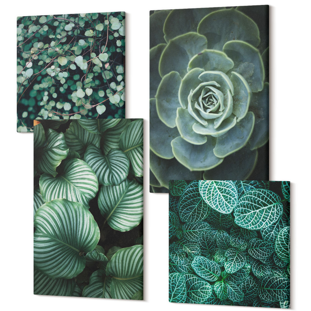 Tablouri multicanvas 4 piese Plante cu frunze verzi și suculente elegante