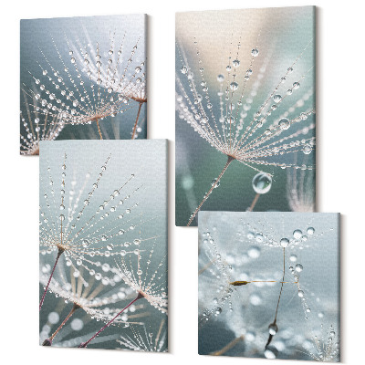 Tablouri multicanvas 4 piese Picături de apă pe lăstarii delicati de păpădie
