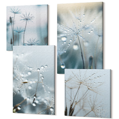 Tablou 4 piese Picături de rouă pe păpădii delicate