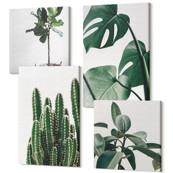 Tablouri canvas set 4 piese Frunze estetice plante de apartament tropicale