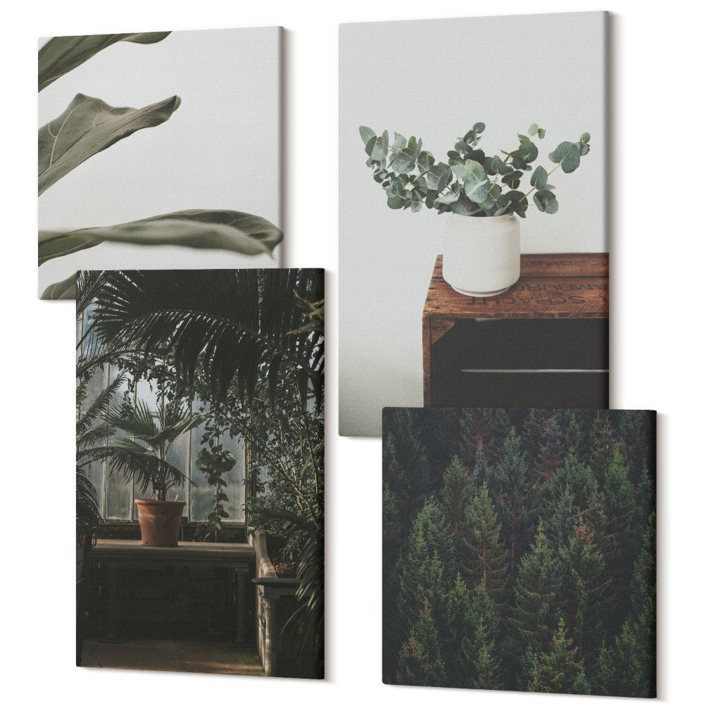 Tablouri canvas set 4 piese Plante în ghiveci cu frunze rustice