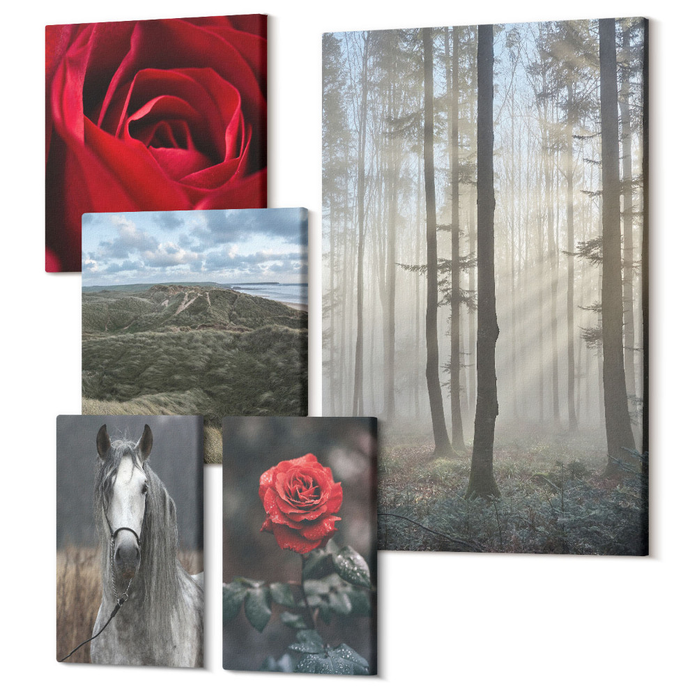 Set tablouri 5 piese Natura și florile în diverse perspective și stiluri